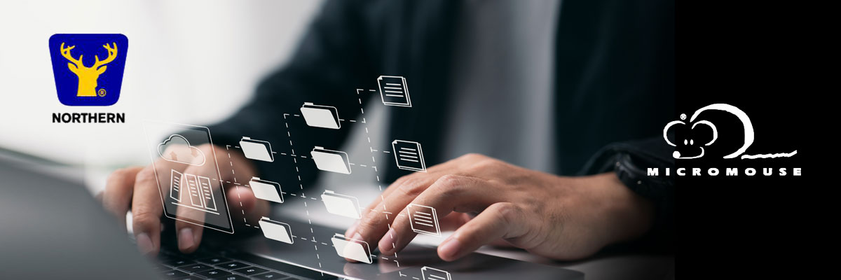 ALMACENAMIENTO archivos - Micromouse